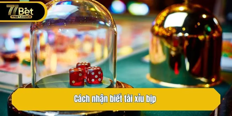 Cách nhận biết tài xỉu bịp 