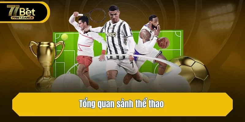 Tổng quan sảnh thể thao